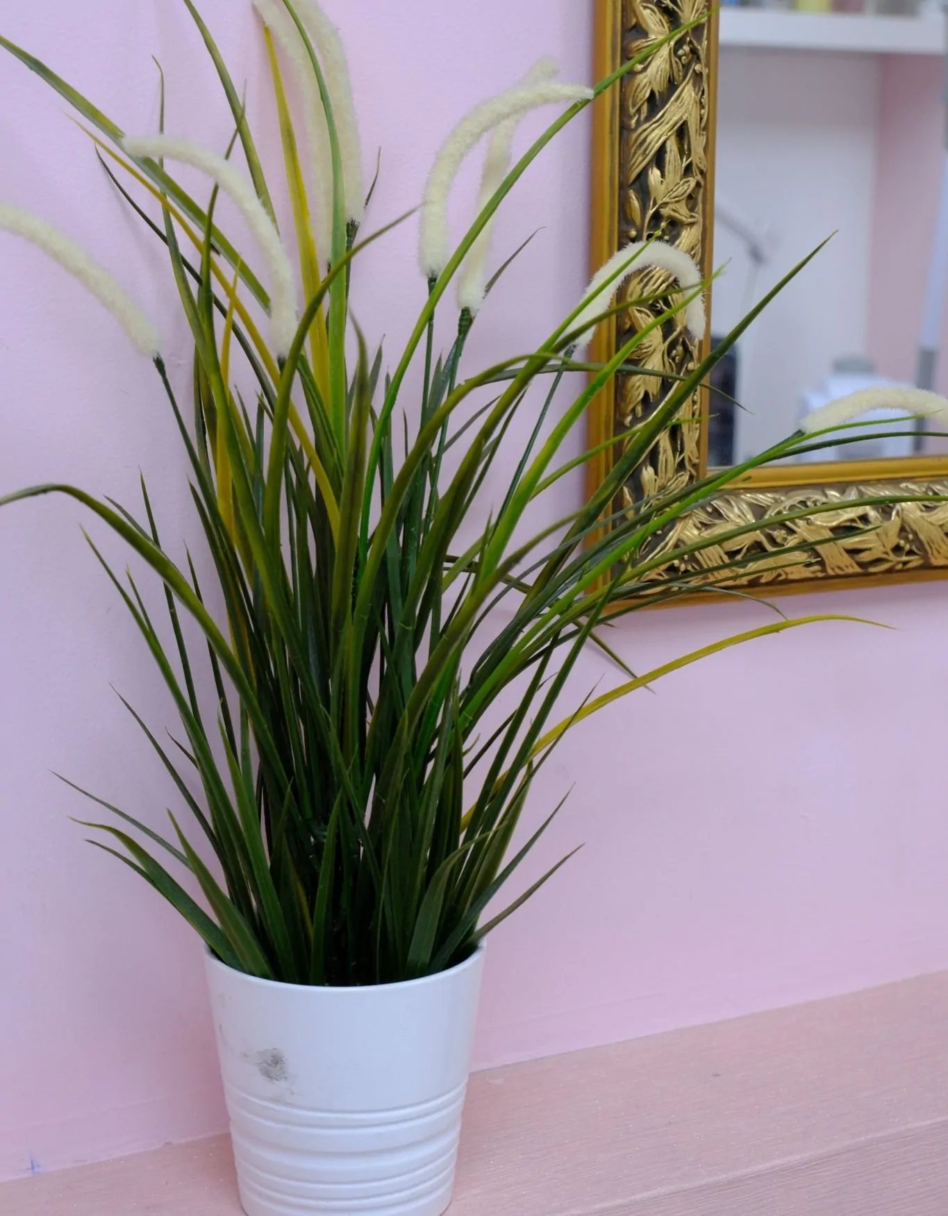 Salon Decor Ambience1